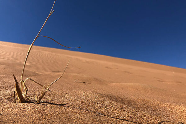 Chegaga 3-Day Desert Tour