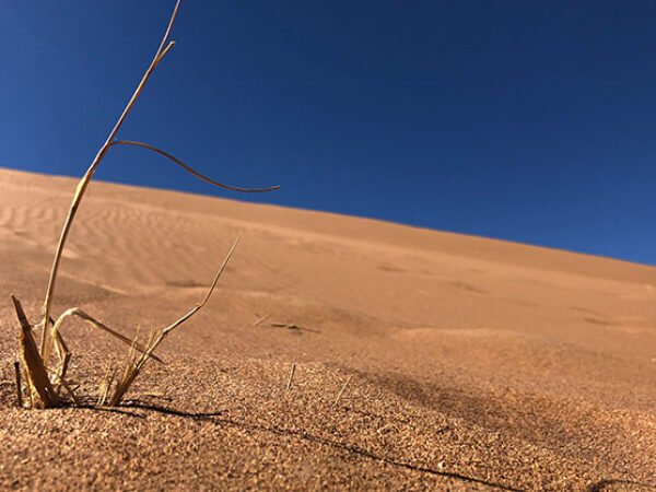 Chegaga 3-Day Desert Tour