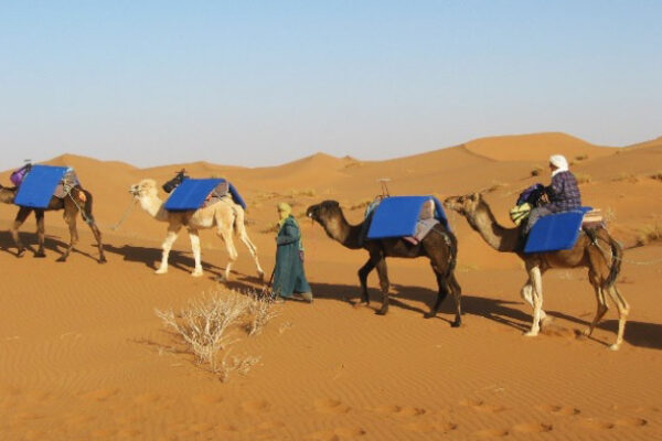 Mhamid Camel Trek – 4 Days