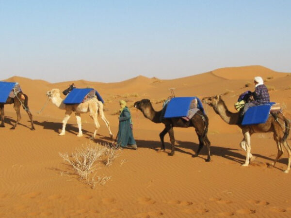 Mhamid Camel Trek – 4 Days
